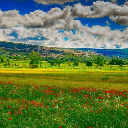 Klarita - Makarska By Guide *